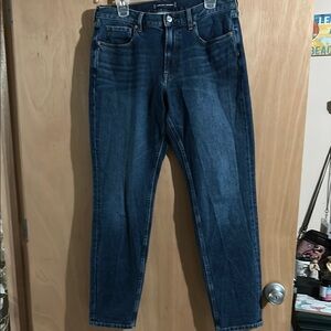 Everlane Blue Slim Jeans Classic Denim